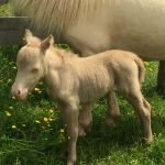 1 day old